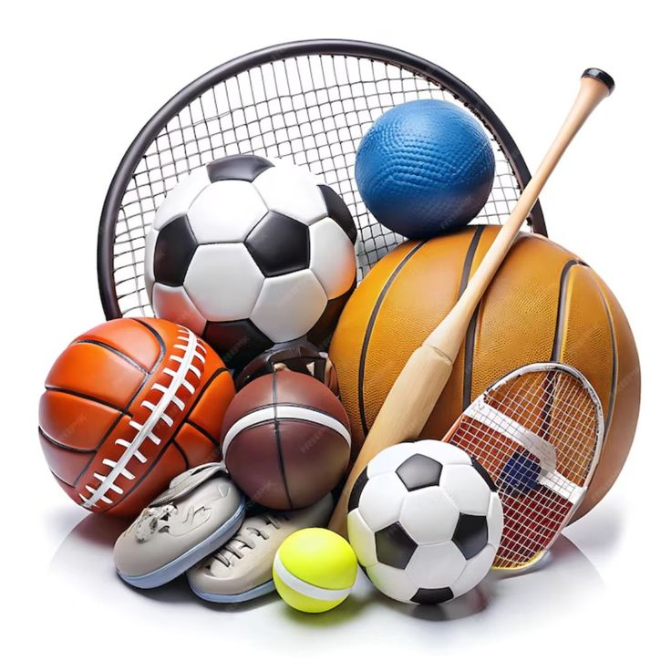 Footballs, basketballs, rackets and a baseball bat